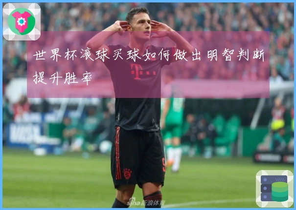 世界杯滚球买球如何做出明智判断提升胜率