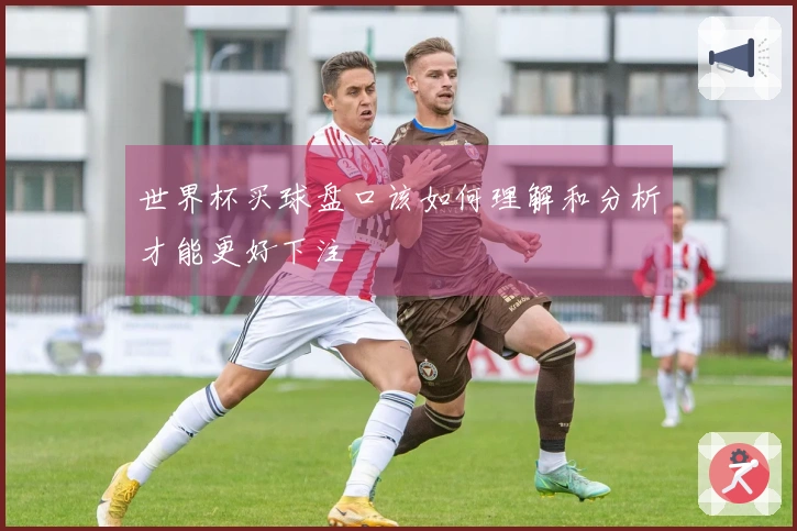 世界杯买球盘口该如何理解和分析才能更好下注