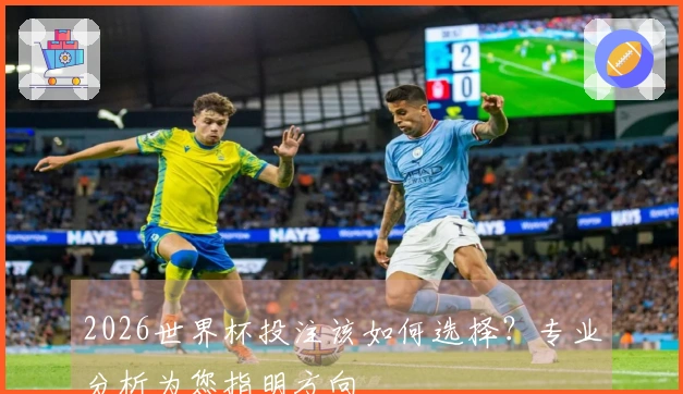 2026世界杯投注该如何选择？专业分析为您指明方向