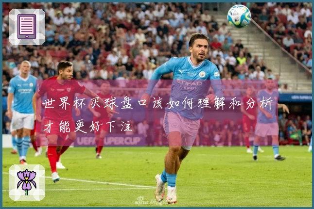 世界杯买球盘口该如何理解和分析才能更好下注